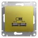 Розетка USB A+A, 5В/2,1А, 2x5В/1,05А, фисташковый, механизм GLOSSA Schneider Electric